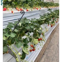 [お題]from:ポンタさん