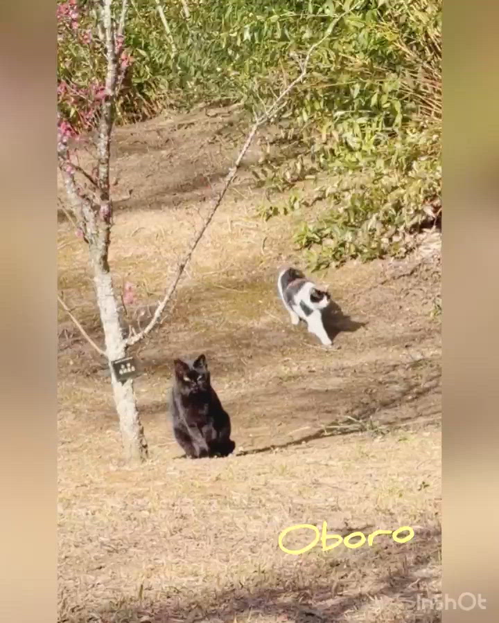 おはよっ待ってぇ♡