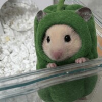 Iさん100分コースありがとうございます