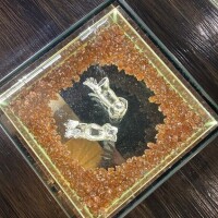 風はおさまってきた