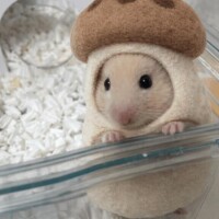 Kさん100分コースありがとうございます