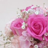 申し訳ございません。