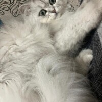 目覚め