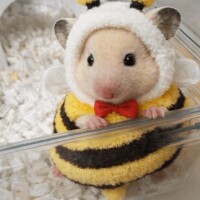 Sさん100分ありがとうございます