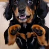 頑張って！