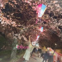 花見でいっぱい♡