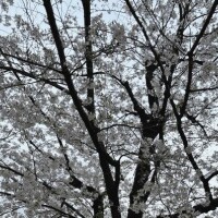 この時間までに