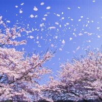 ごめんなさい‍