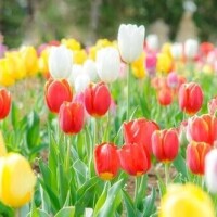 やっと終わったのに