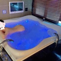 キャンセル界隈