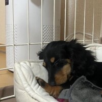 ありがとうございました