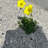 花好きには最高の季節