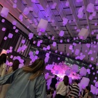 きゃえるってる！