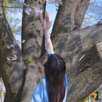 明日のご予約状況