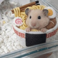 【お礼写メ日記】ありがとうございます