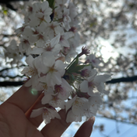 明日、時間変更のお知らせ