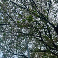 あっという間に