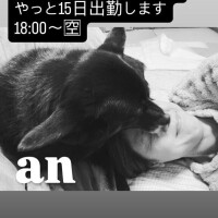 いい夢を…