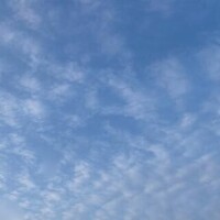 水分、塩分、もぐもぐチャーージを(*´∀｀*)