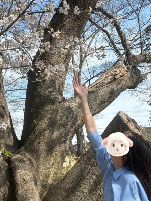 お願い
