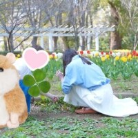 スタッフGちゃん