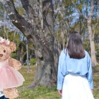 本日12時〜1枠のみ