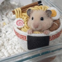 おはよん