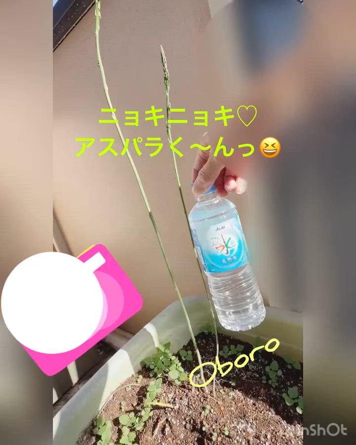 あららー、ニョキニョキ♡大変っ！