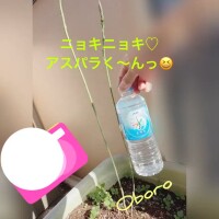 あららー、ニョキニョキ♡大変っ！