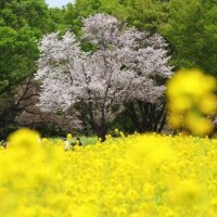 4/18のお礼♡Mさま