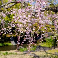 4/18のお礼♡Kさま