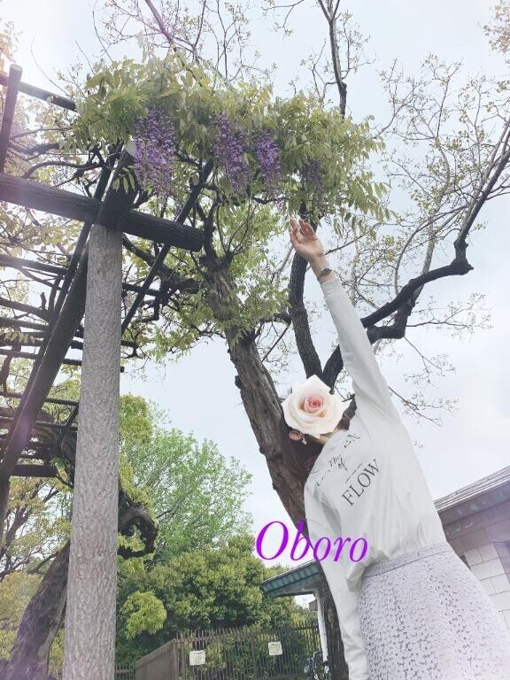 藤って、色っぽいなぁ♡