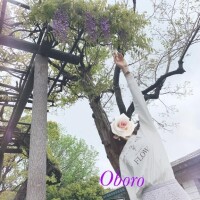 藤って、色っぽいなぁ♡