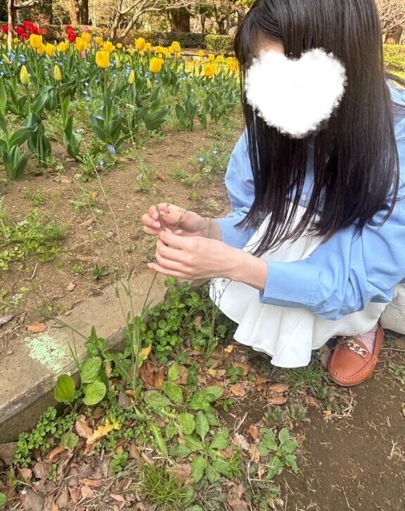 向かうーっ