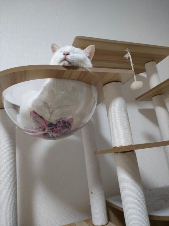 ★宇宙船★
