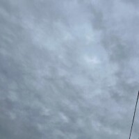 おはようございます