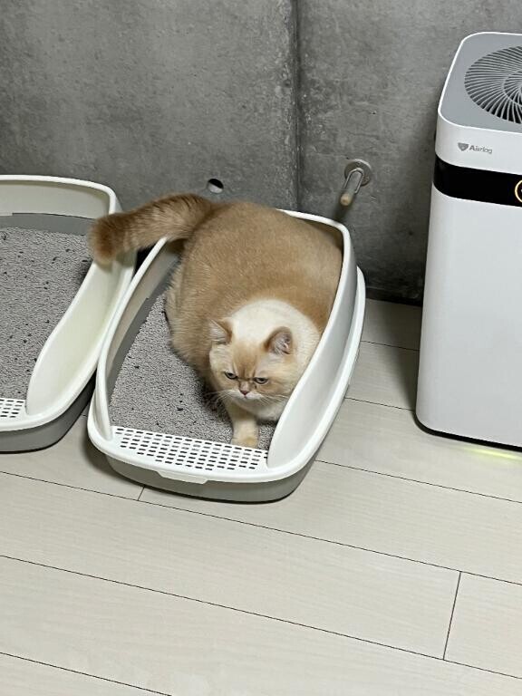 月一の大仕事が終了