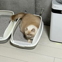 月一の大仕事が終了