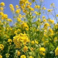 4/23のお礼♡Yさま