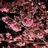 本日はありがとうございました〜