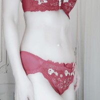 今日のランジェリー