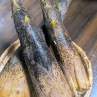 こんなに長いの...