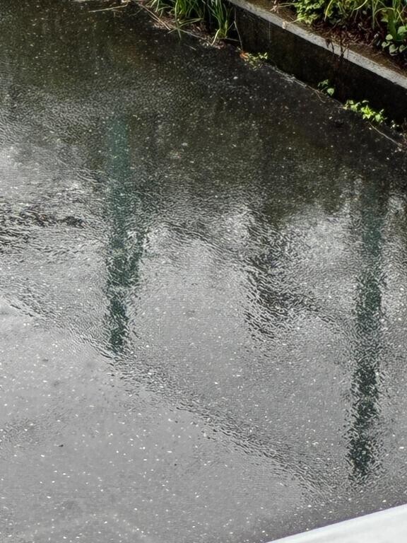 5月♡𓈒𓏸