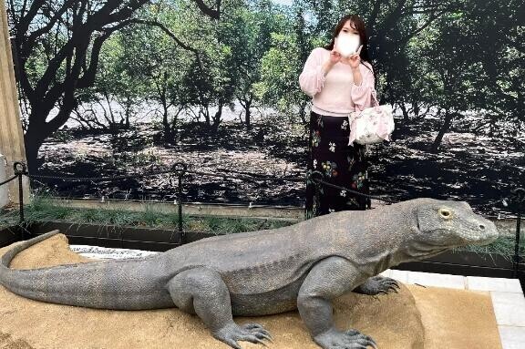 きた