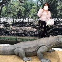 きた