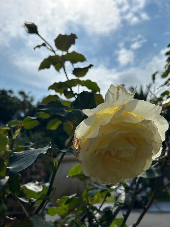 早速のご予約🩷ありがとうございます