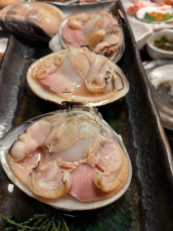 明日のご予約状況