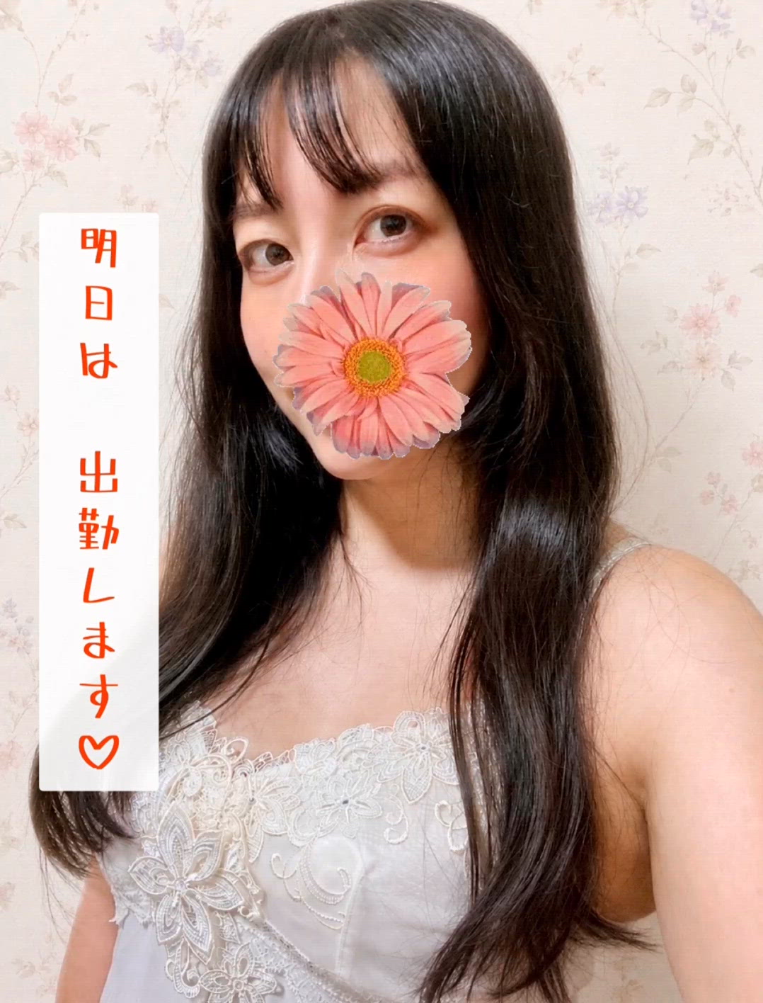 気になるわん