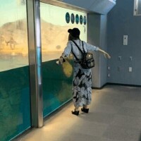 あげは