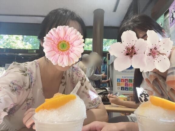 見たい見たい